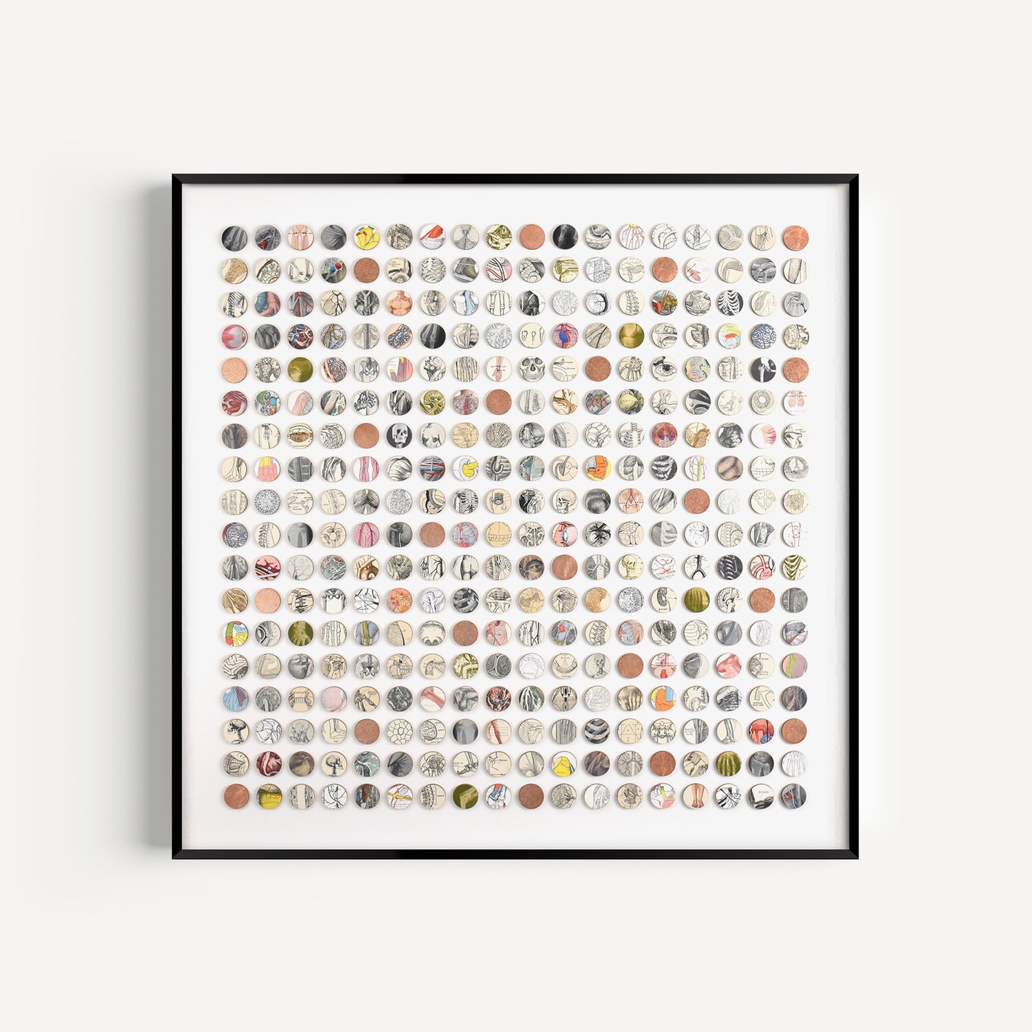 Three Hundred And Twenty Four Anatomy Dots Collage