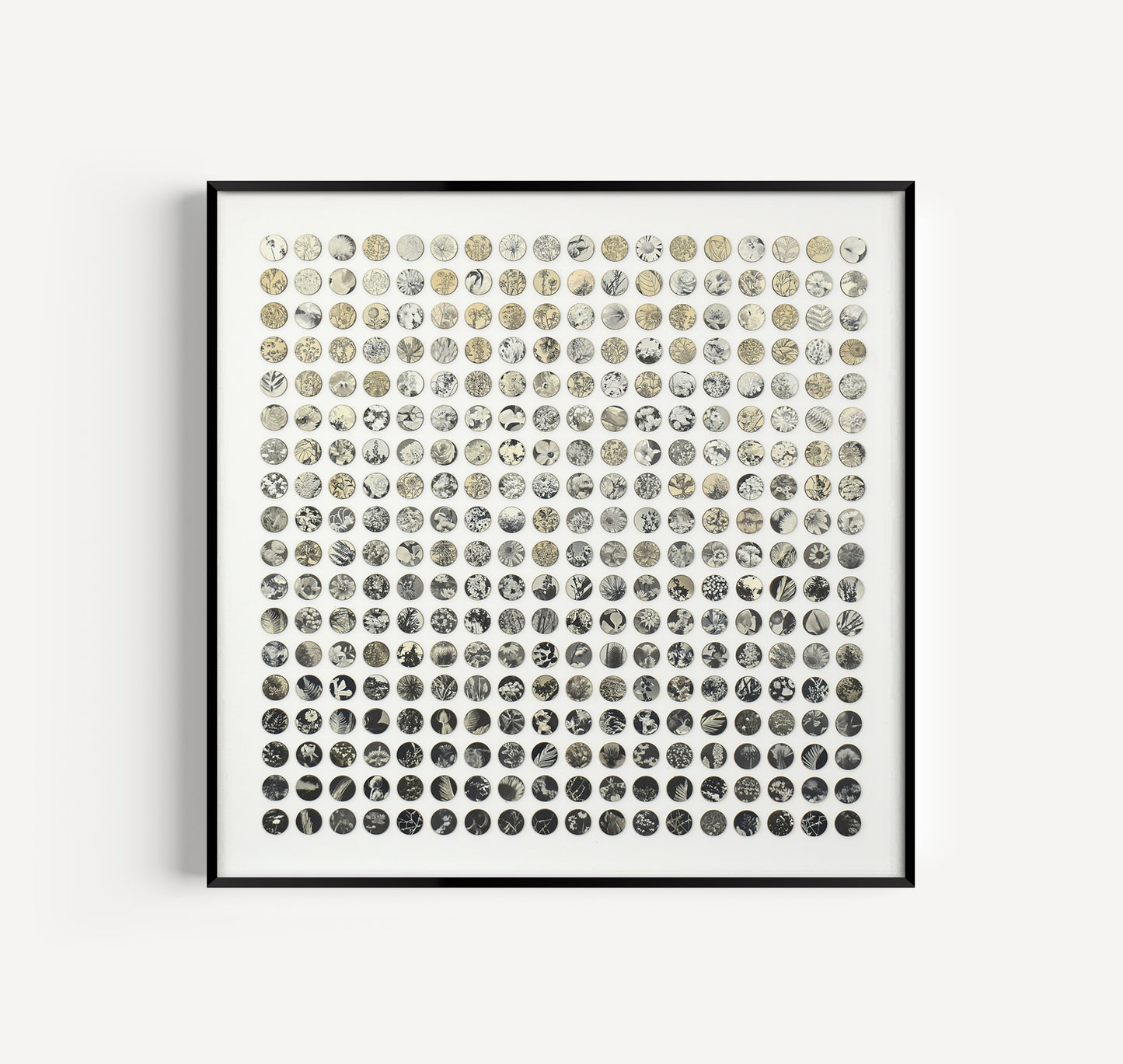 Three Hundred And Twenty Four Monochrome Botanical Dots Collage