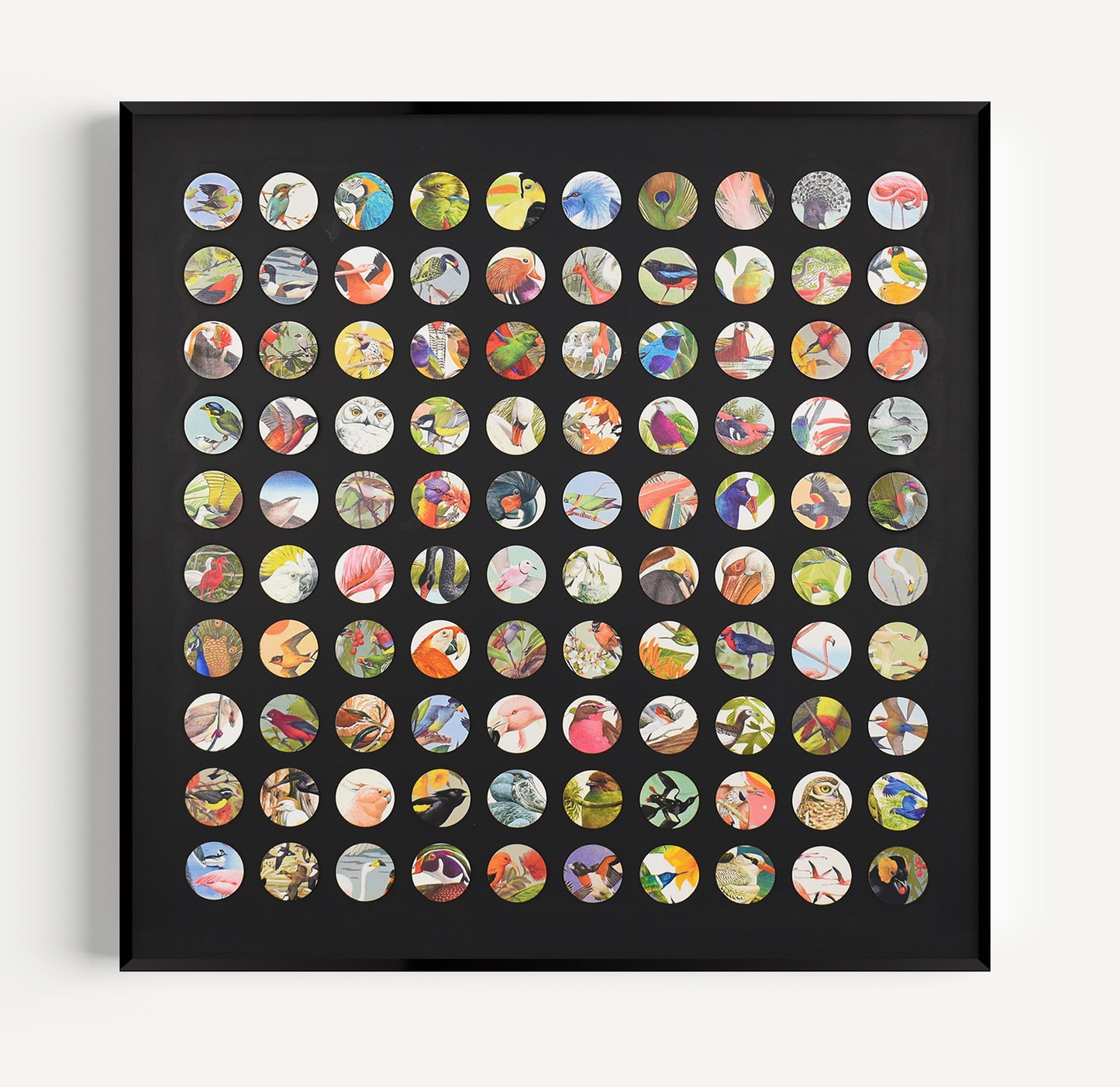 One Hundred Vintage Encyclopedia of Birds Dots Collage
