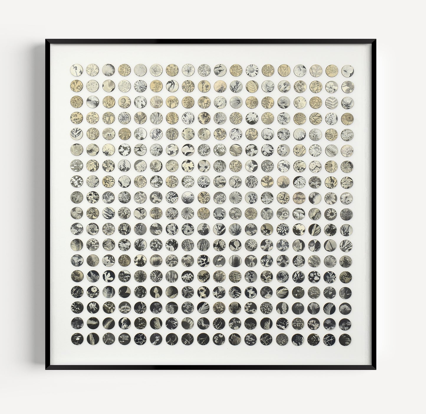 Three Hundred And Twenty Monochrome Botanical Dots Collage