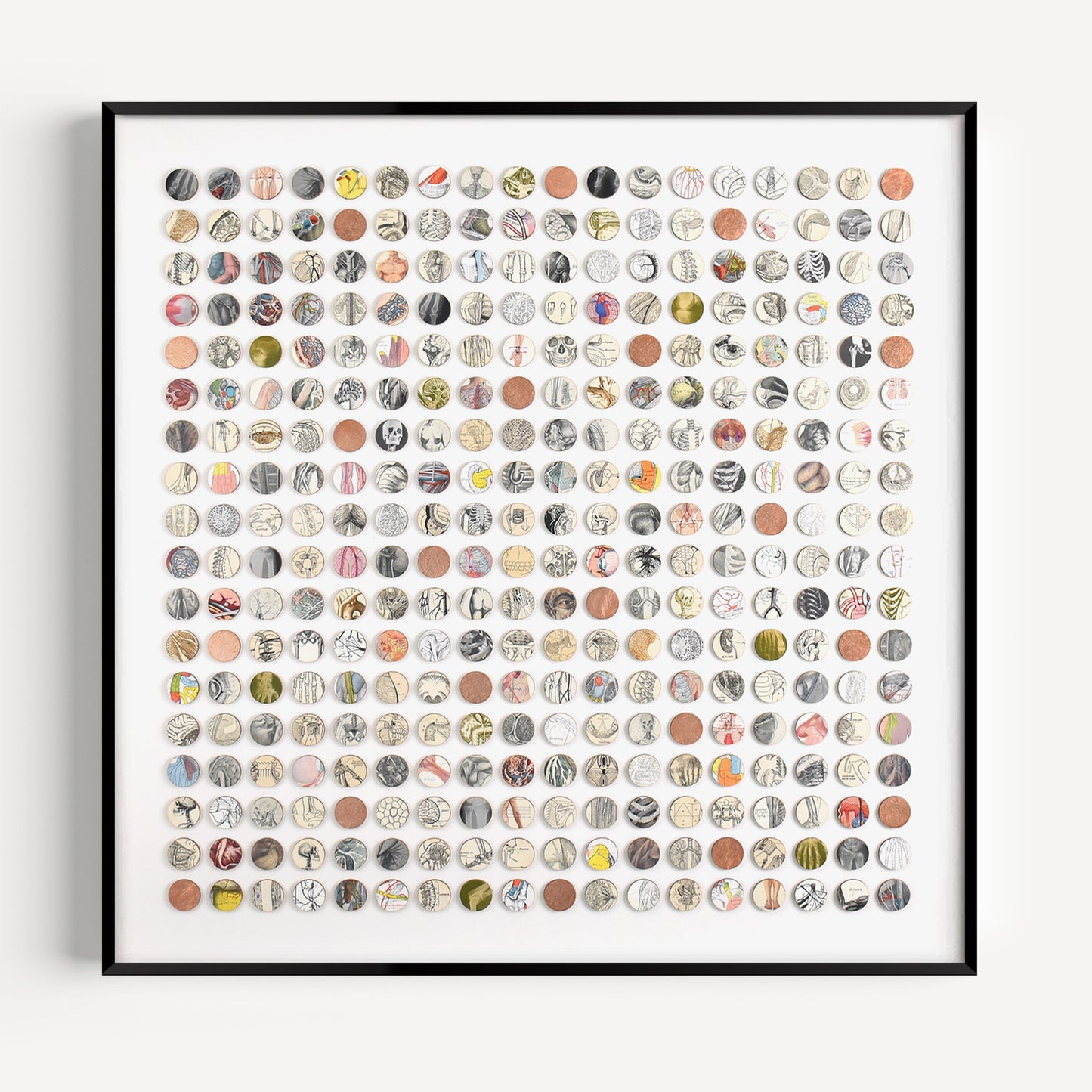 Three Hundred And Twenty Four Anatomy Dots Collage