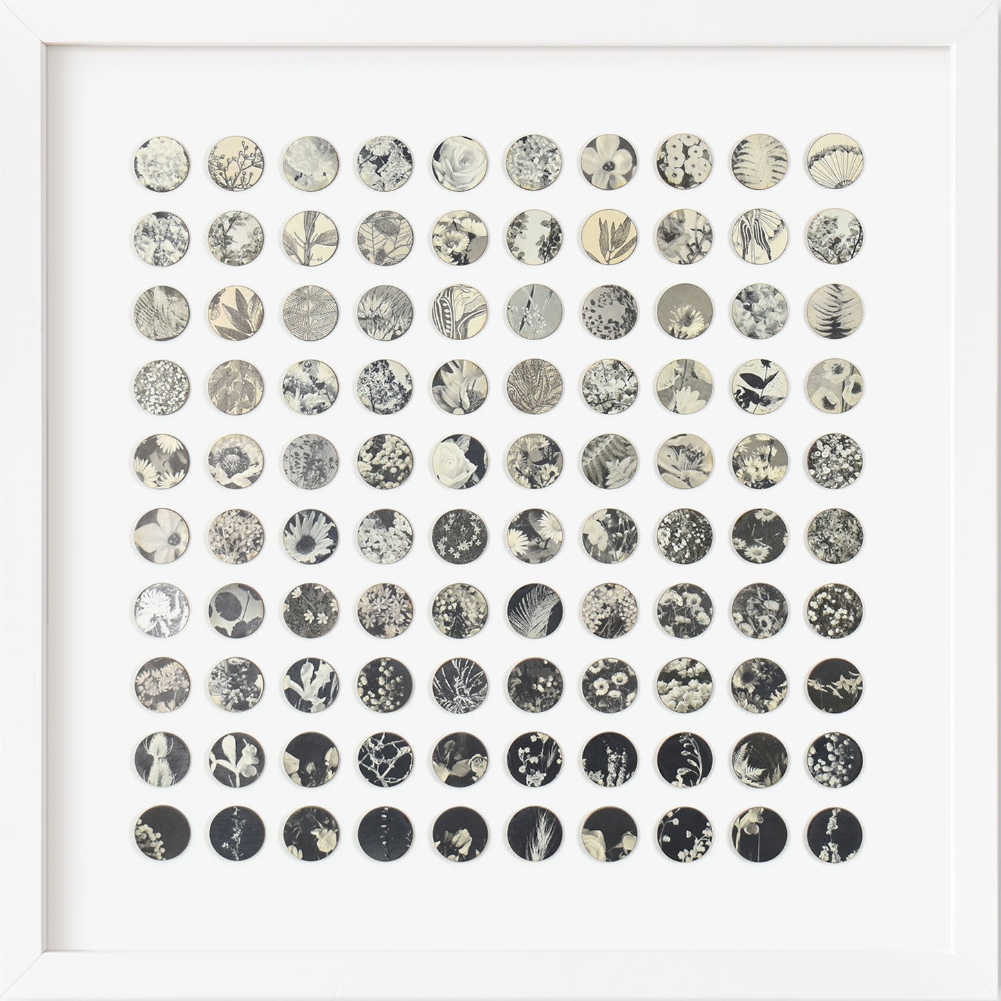 One Hundred Monochrome Botanical Dots Collage