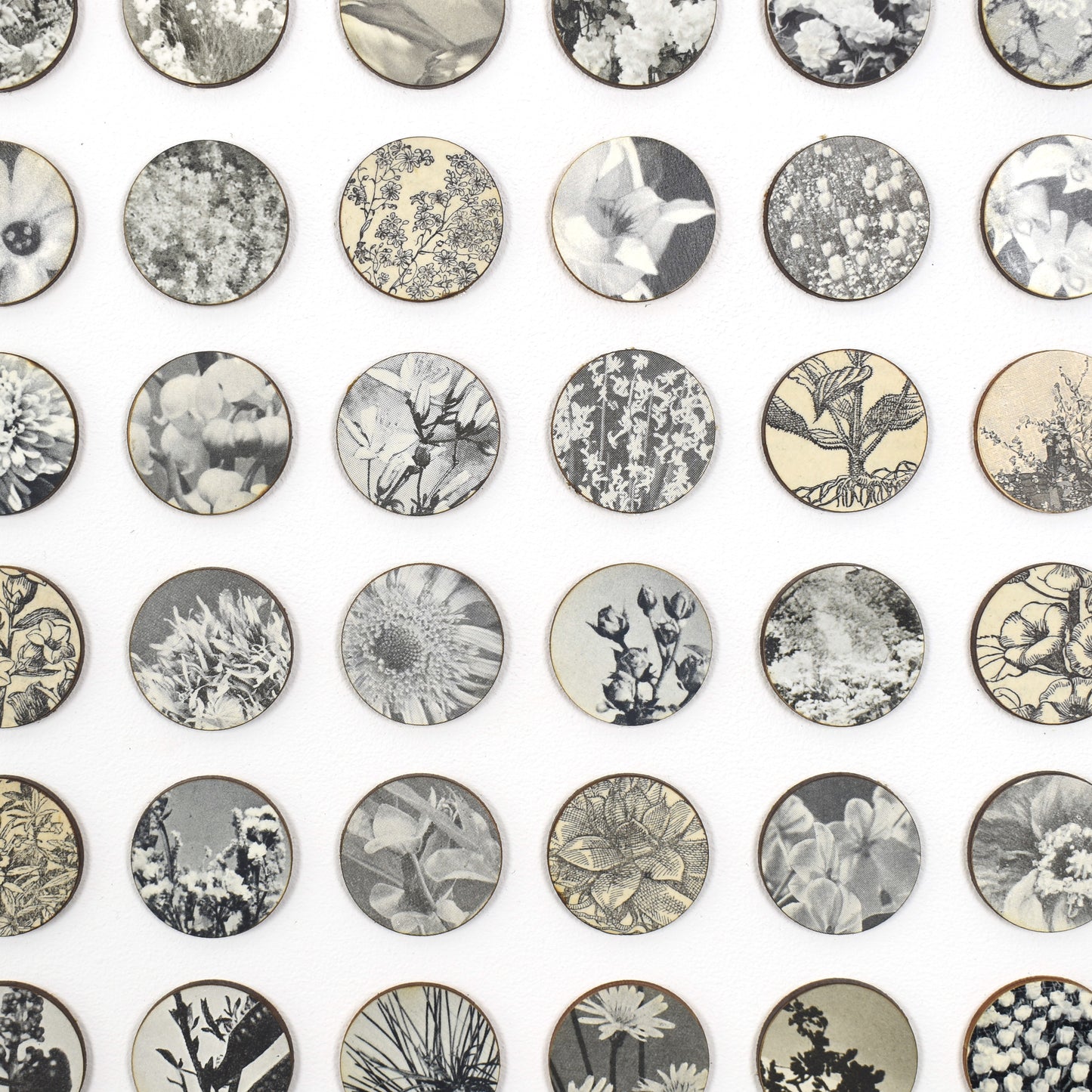Three Hundred And Twenty Four Monochrome Botanical Dots Collage