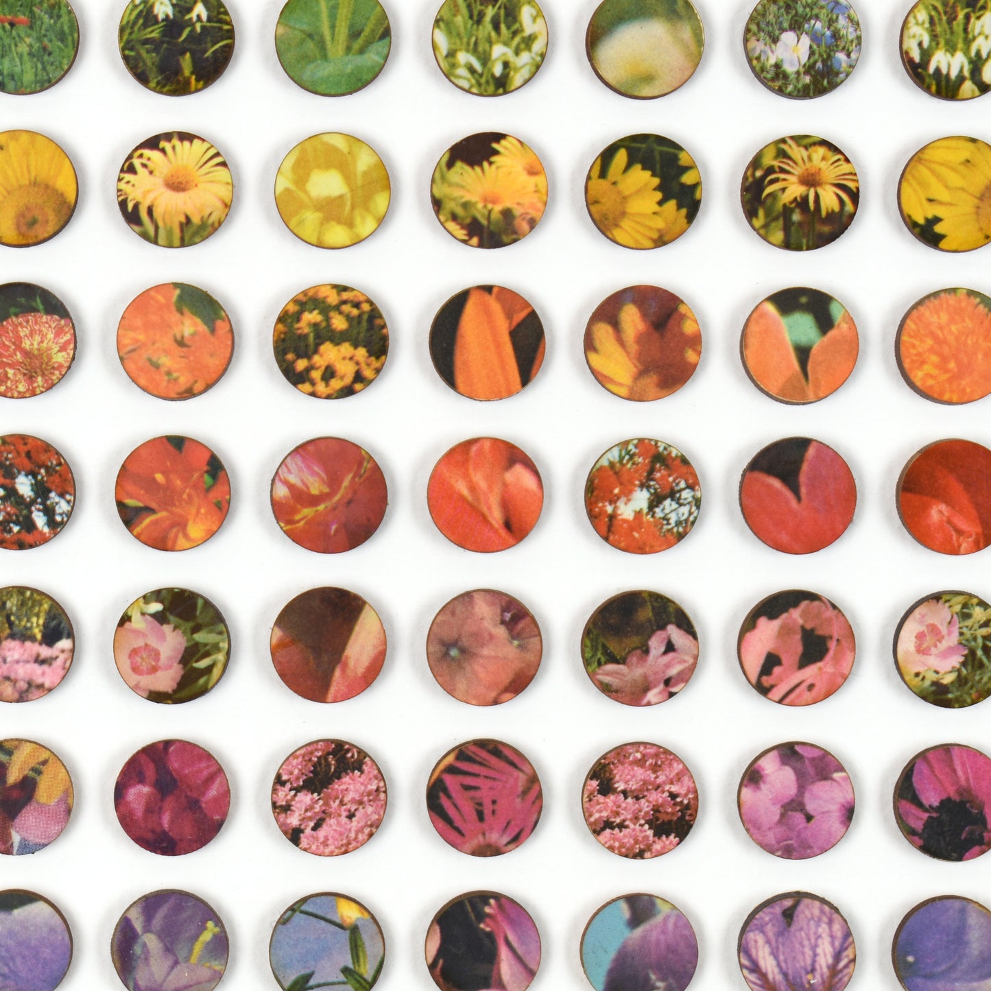 One Hundred and Four Rainbow Botanical Dots Collage