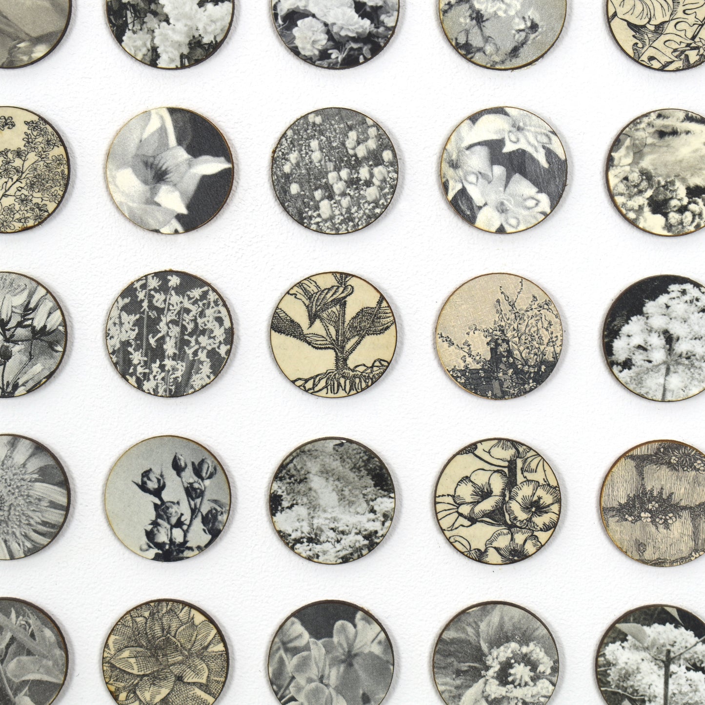 Three Hundred And Twenty Four Monochrome Botanical Dots Collage