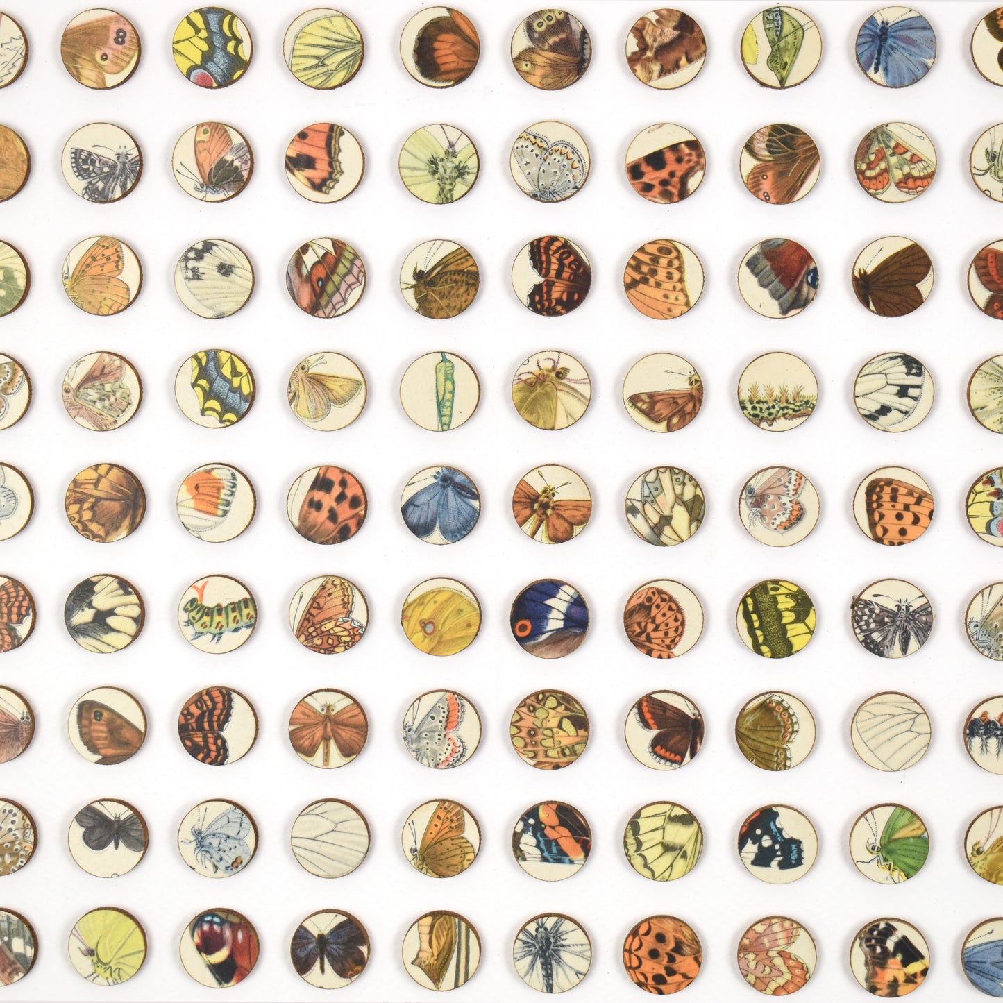 Two Hundred and Fifty Six Butterfly Dots Collage