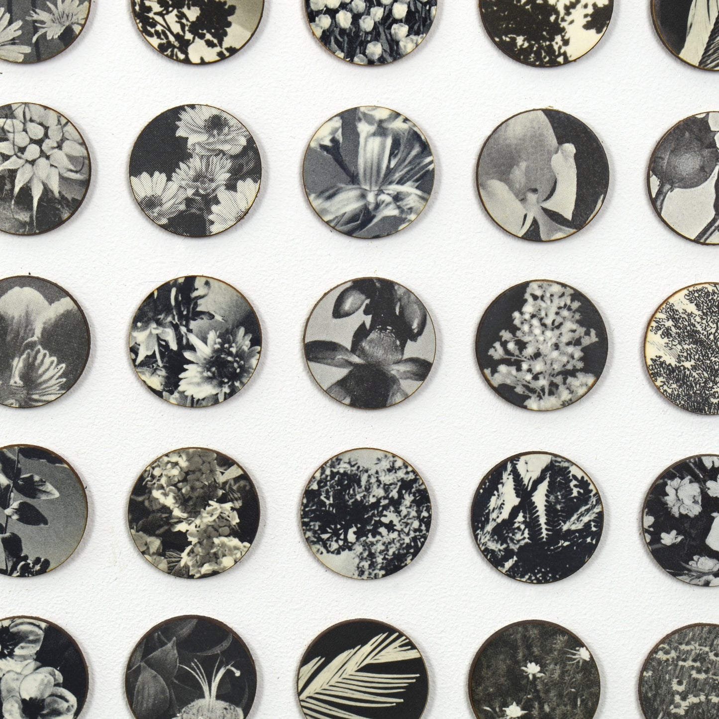 Three Hundred And Twenty Four Monochrome Botanical Dots Collage