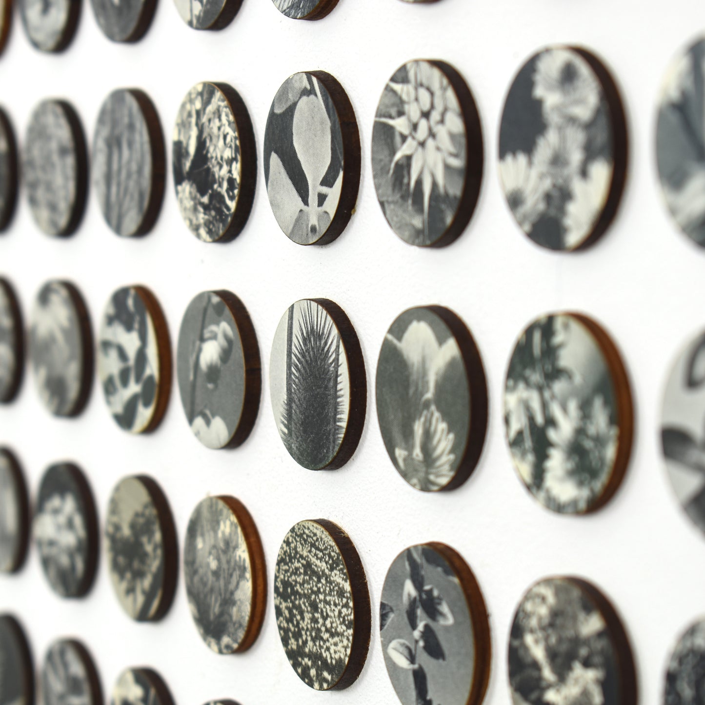 Three Hundred And Twenty Four Monochrome Botanical Dots Collage