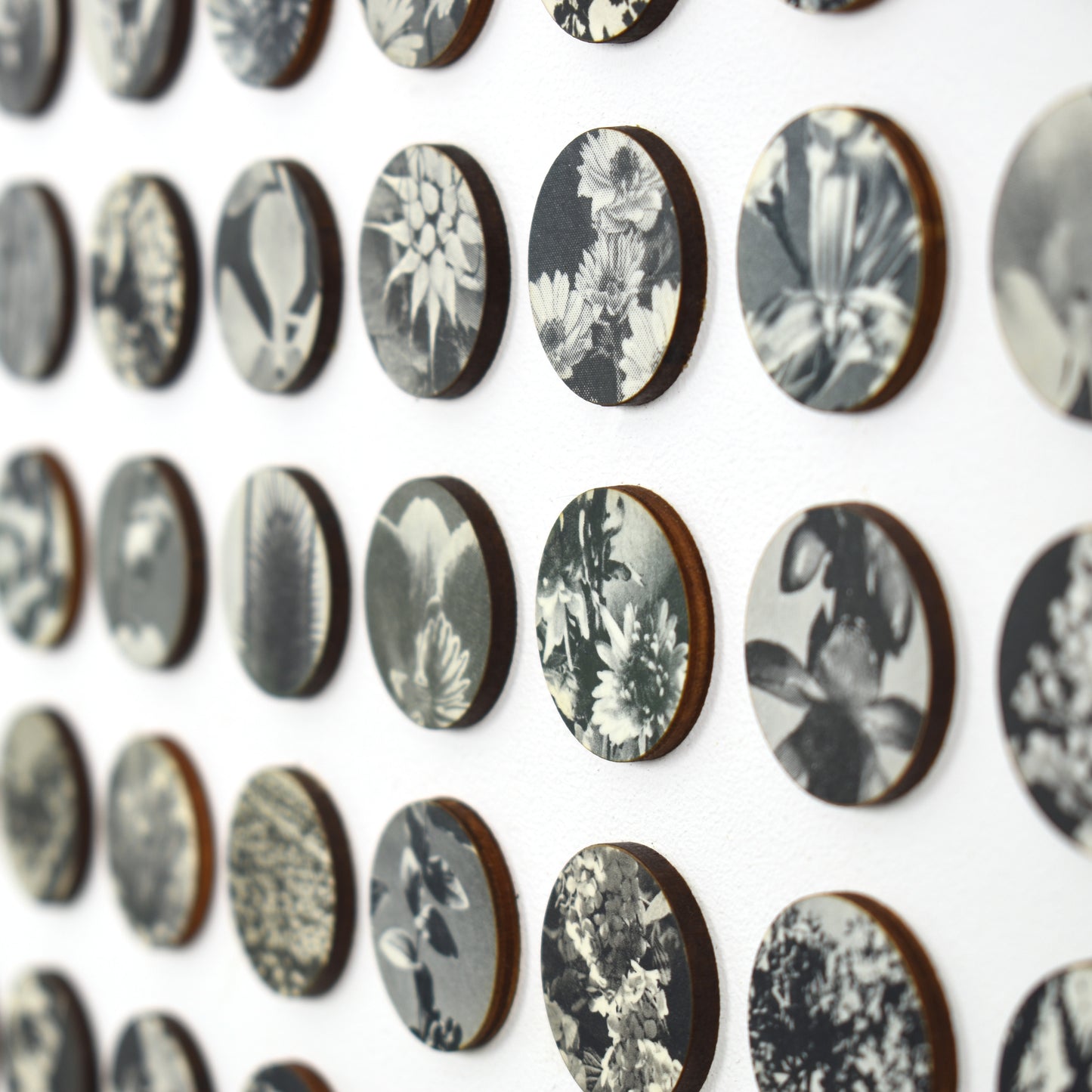 Three Hundred And Twenty Four Monochrome Botanical Dots Collage