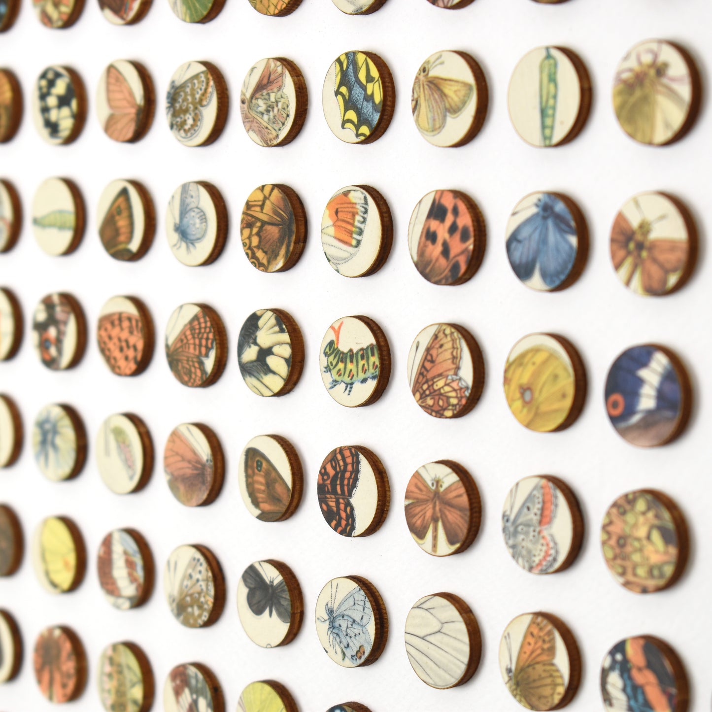 Two Hundred and Fifty Six Butterfly Dots Collage
