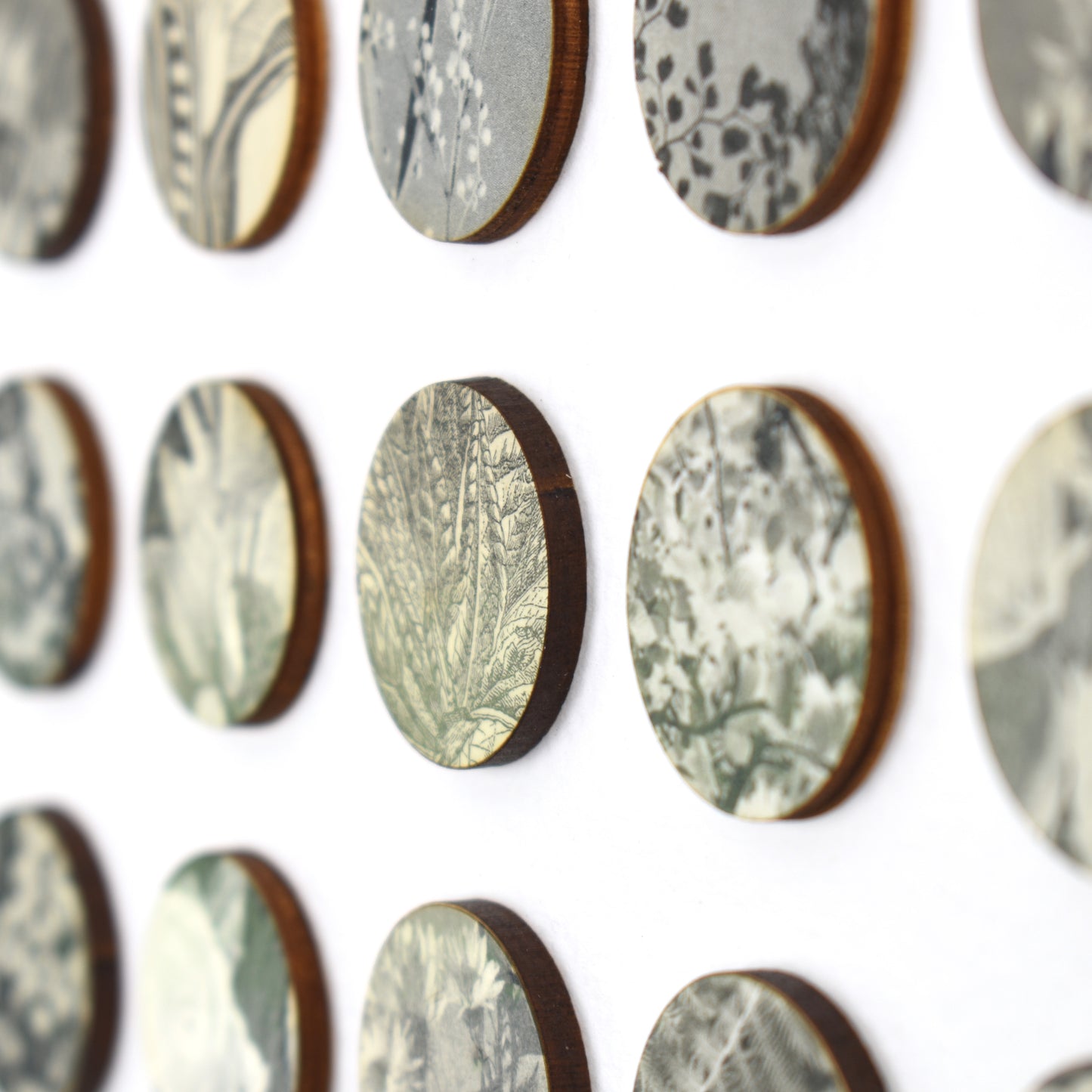 One Hundred Monochrome Botanical Dots Collage