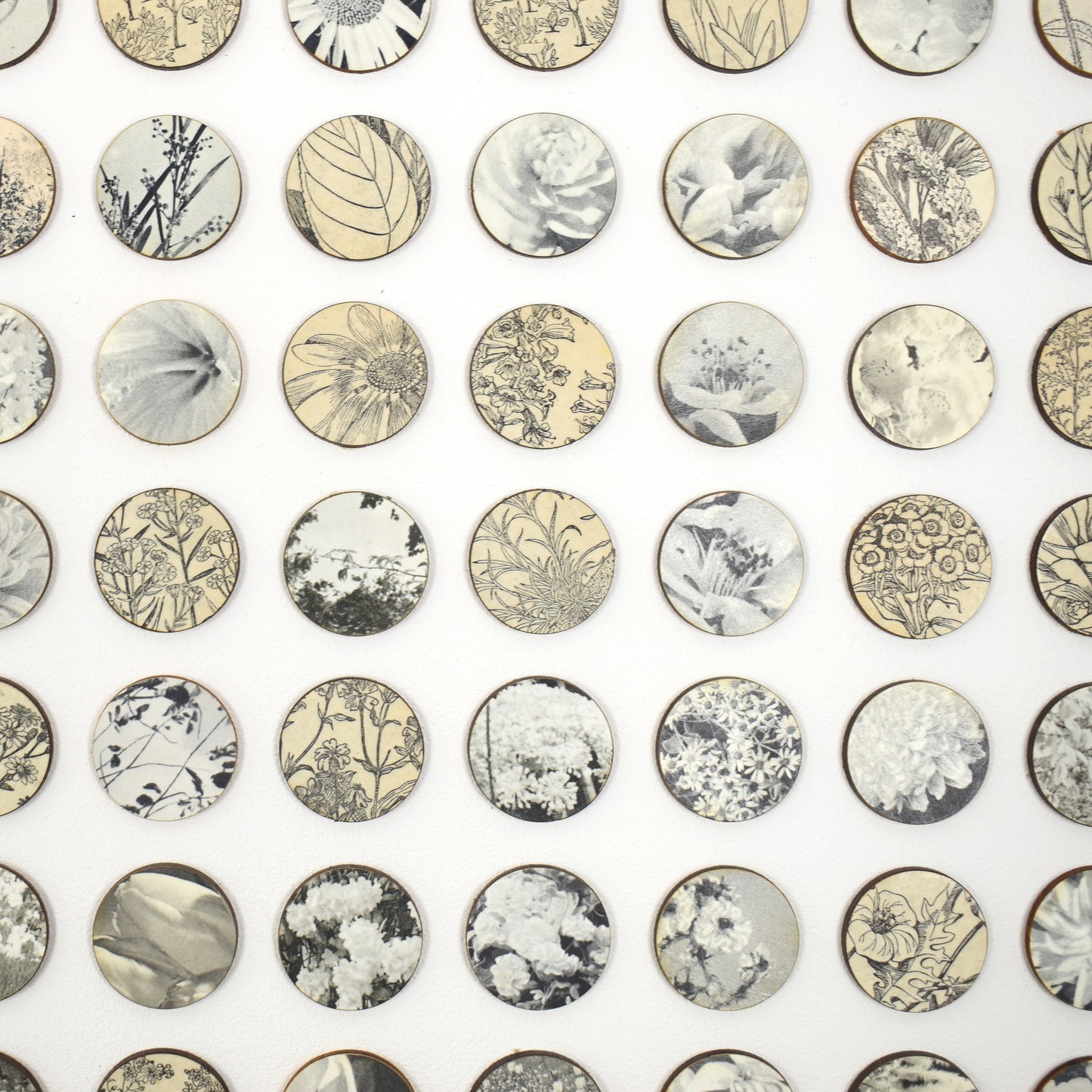 Three Hundred And Twenty Four Monochrome Botanical Dots Collage