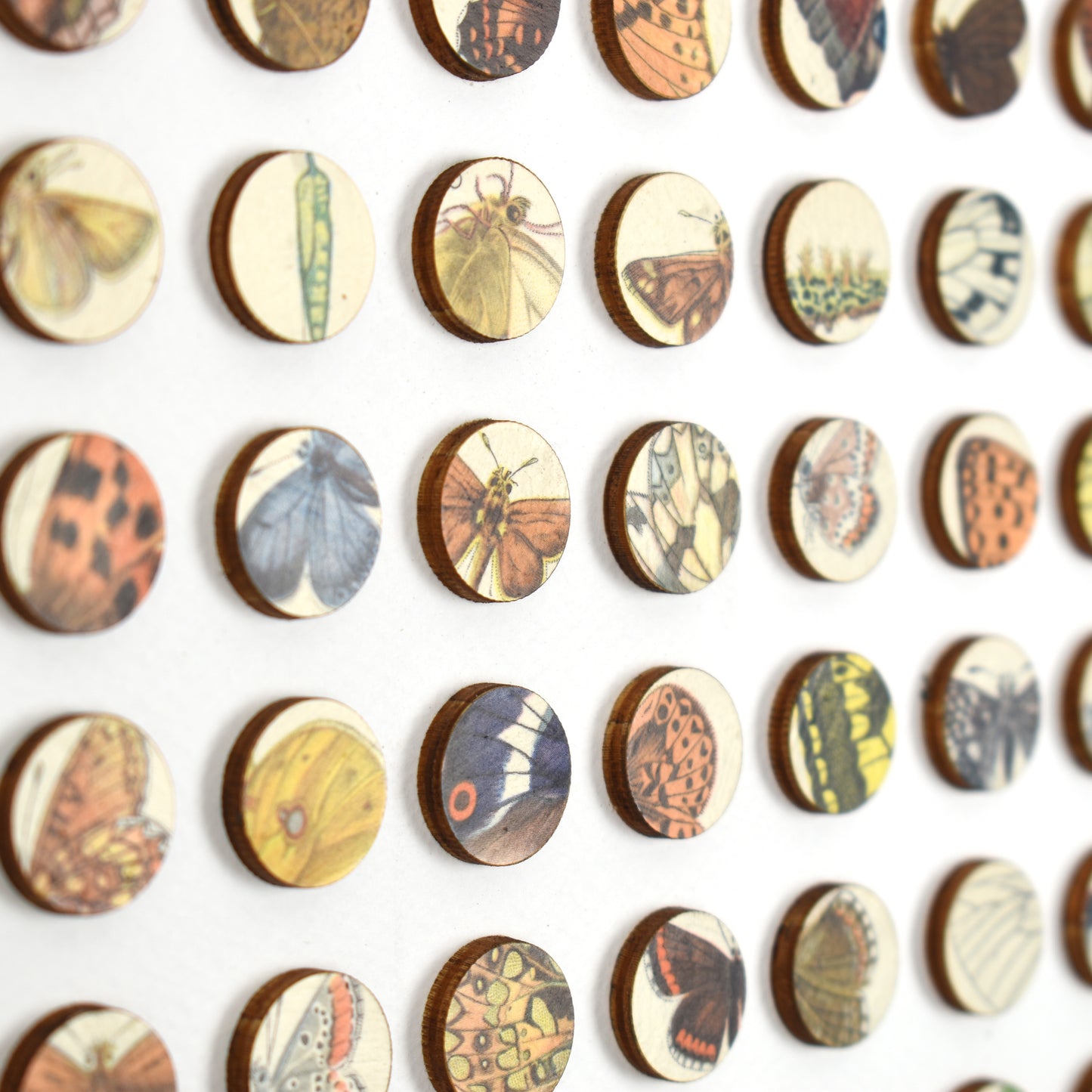 Two Hundred and Fifty Six Butterfly Dots Collage