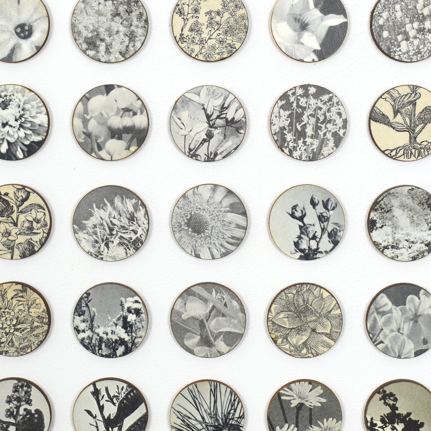 Three Hundred And Twenty Four Monochrome Botanical Dots Collage