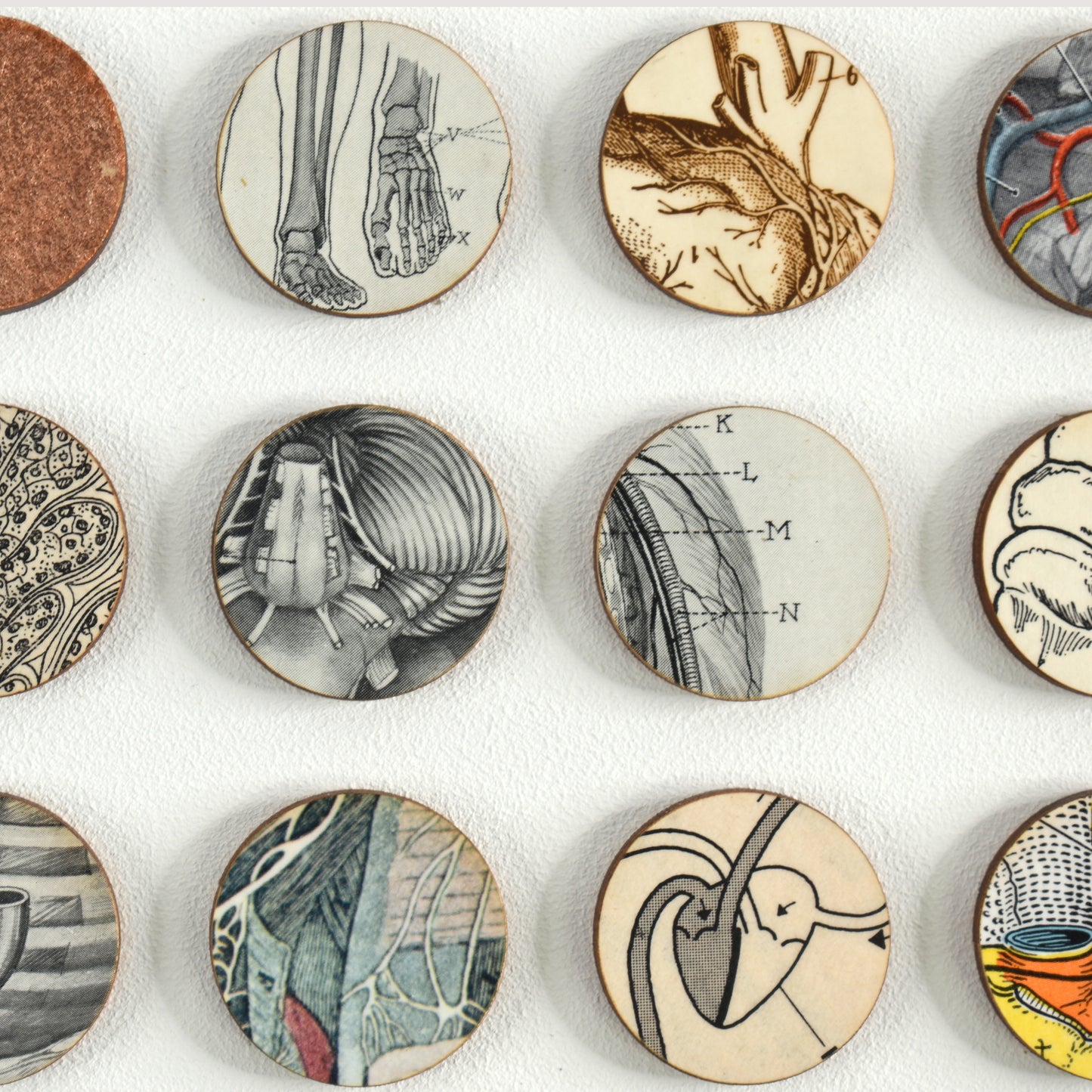 Three Hundred And Twenty Four Anatomy Dots Collage