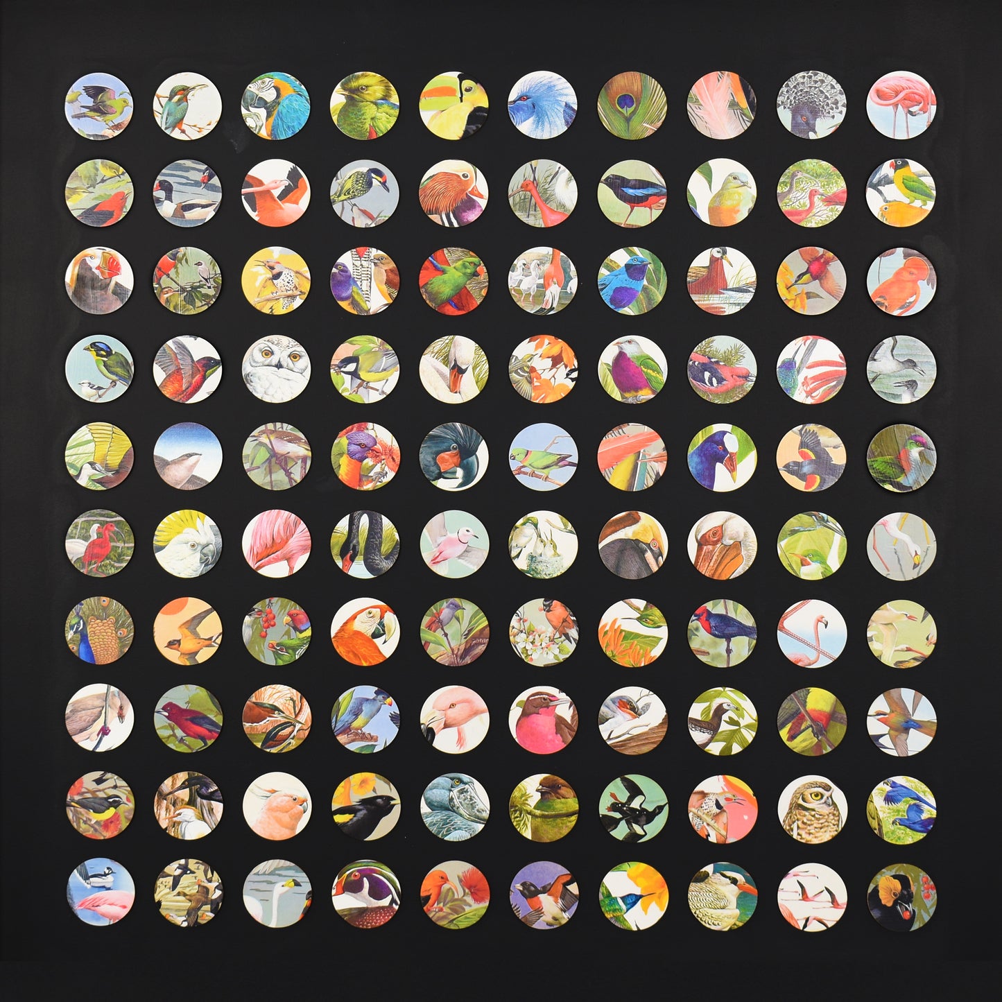One Hundred Vintage Encyclopedia of Birds Dots Collage