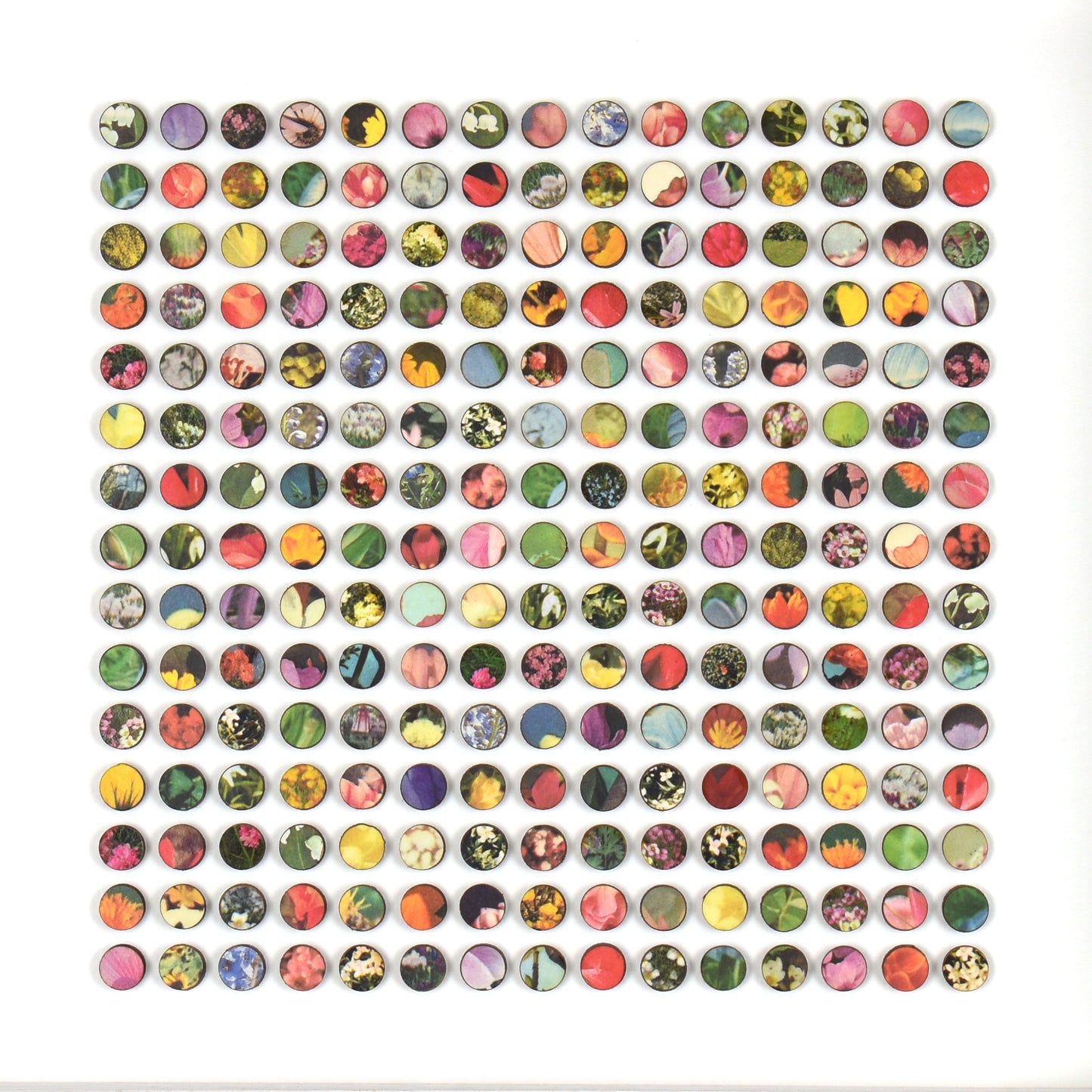 Two Hundred and Twenty Five Floral Dots Collage