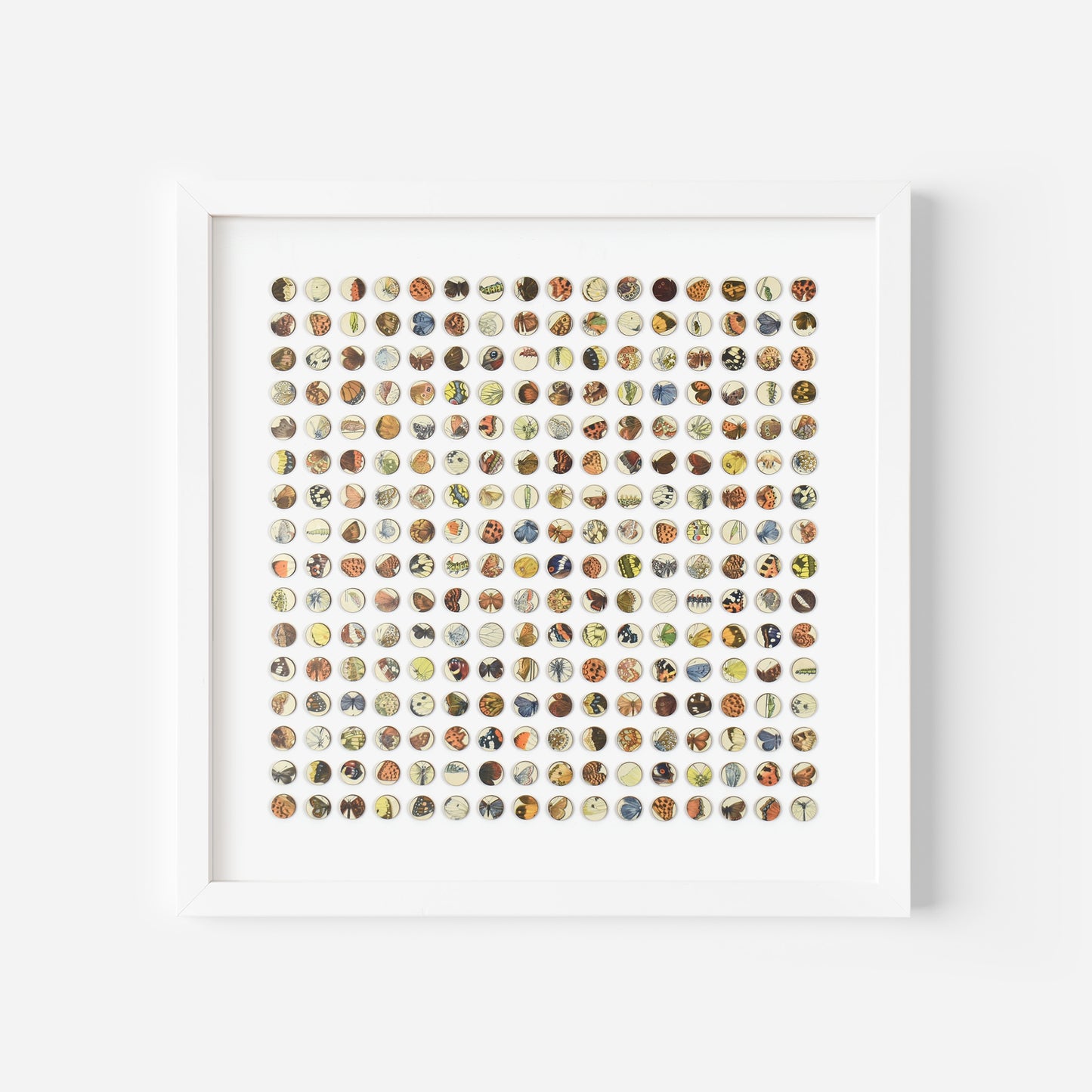 Two Hundred and Fifty Six Butterfly Dots Collage