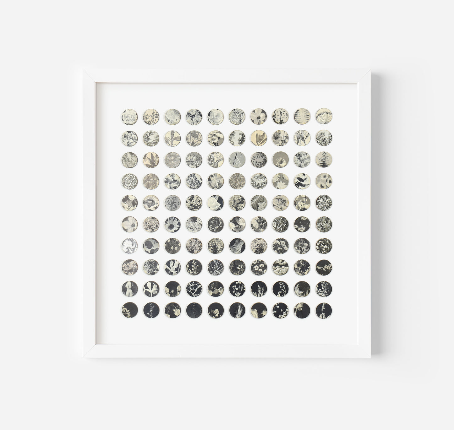 One Hundred Monochrome Botanical Dots Collage