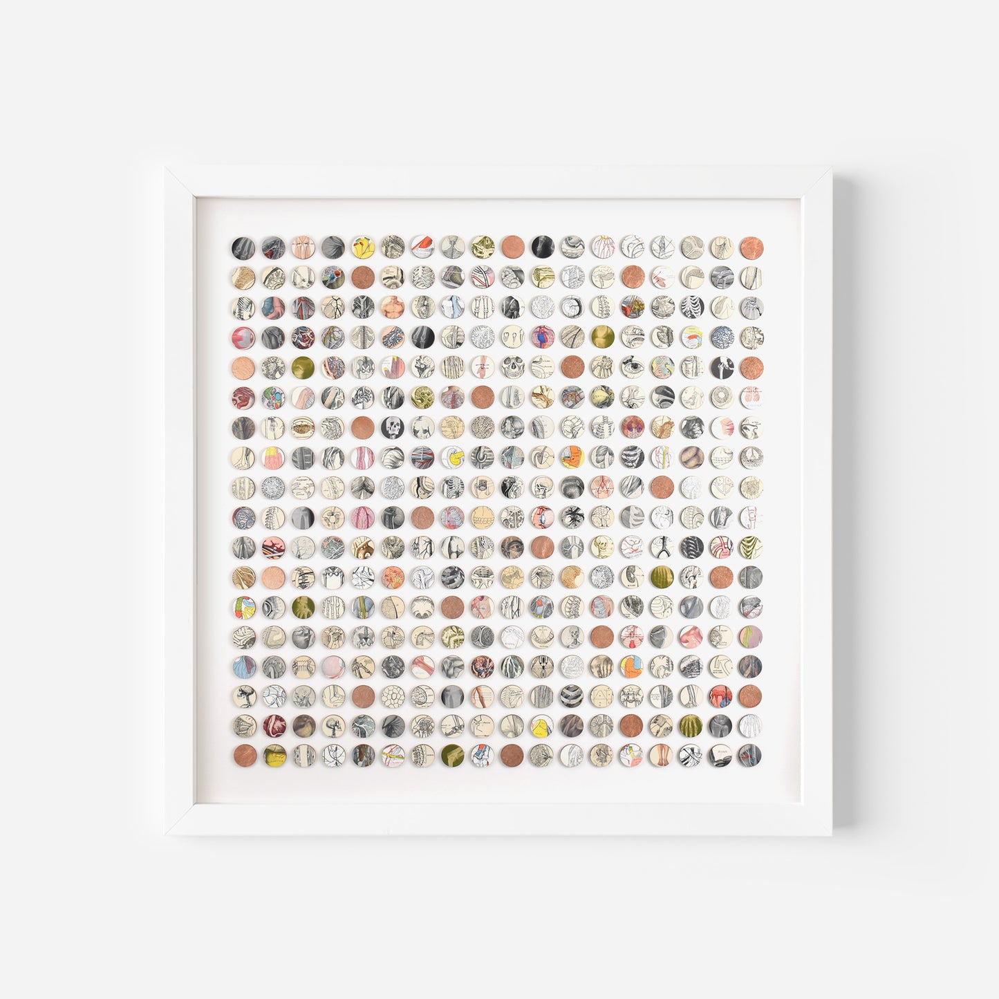 Three Hundred And Twenty Four Anatomy Dots Collage