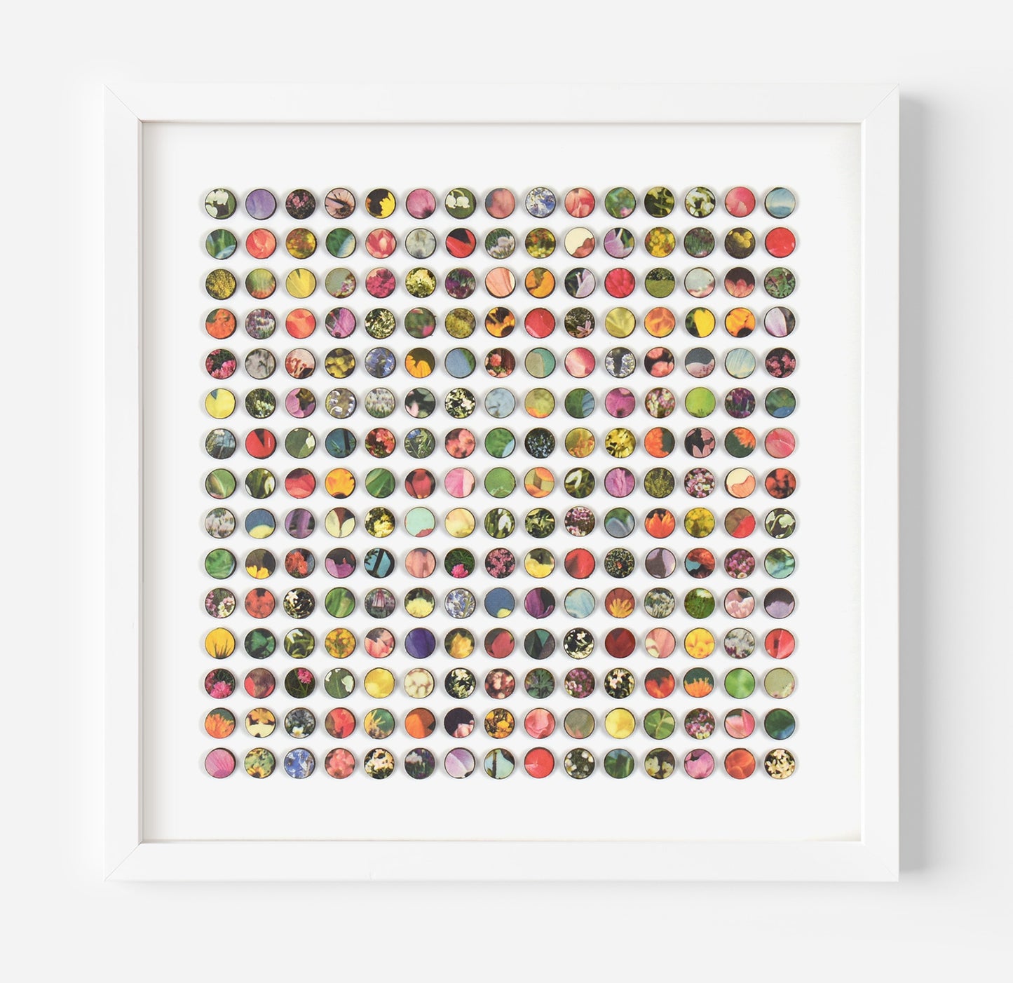 Two Hundred and Twenty Five Floral Dots Collage