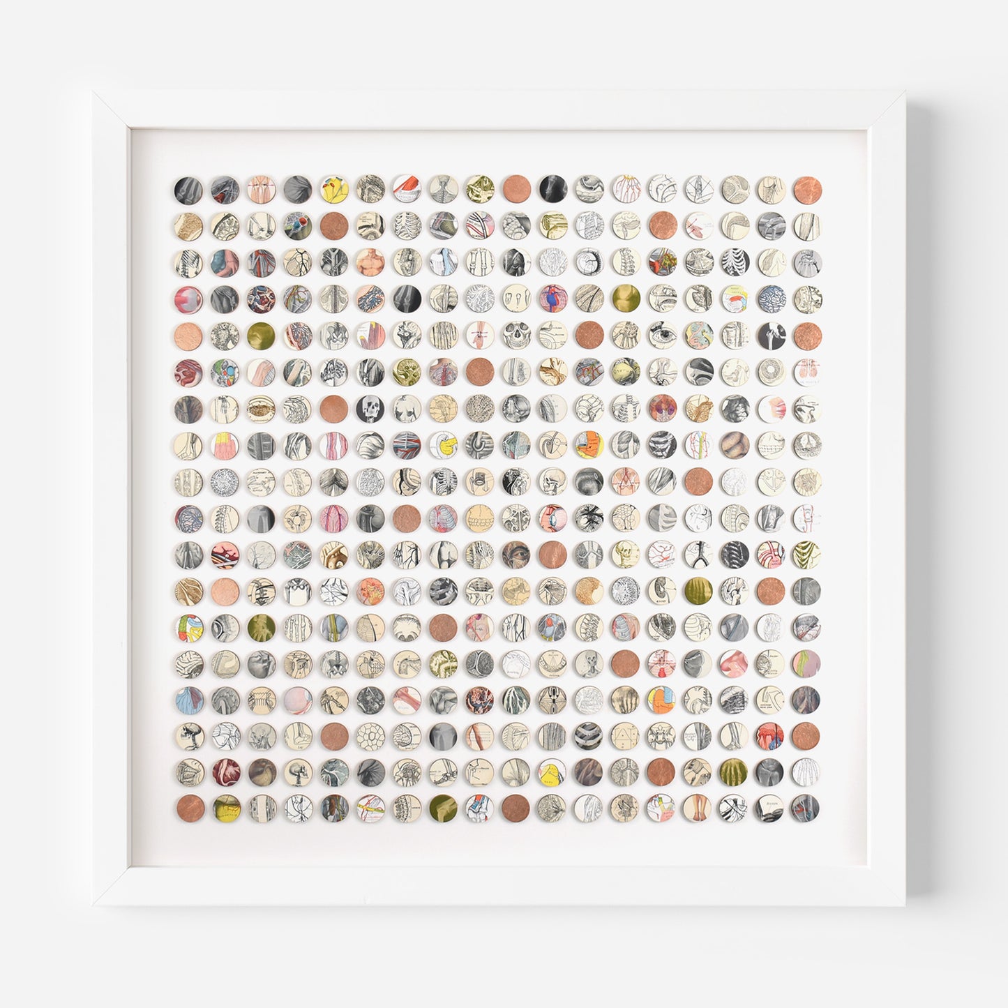 Three Hundred And Twenty Four Anatomy Dots Collage