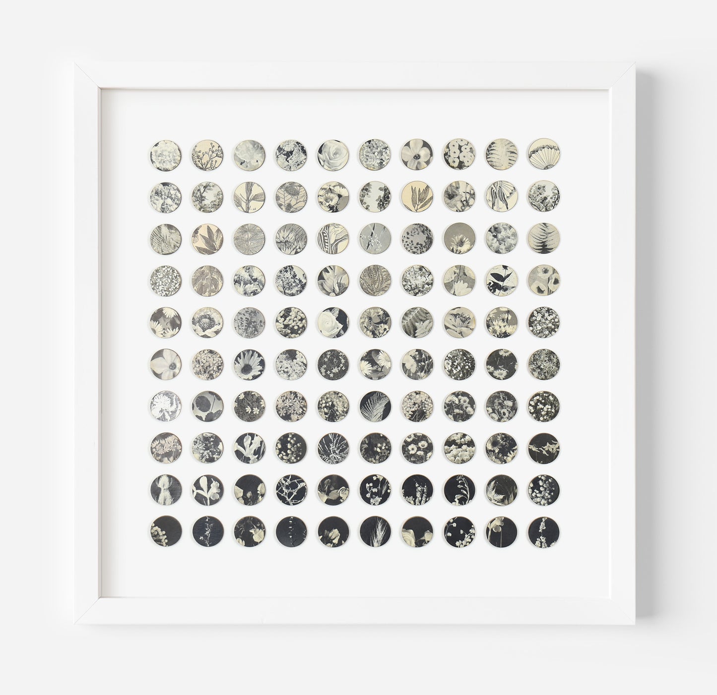 One Hundred Monochrome Botanical Dots Collage