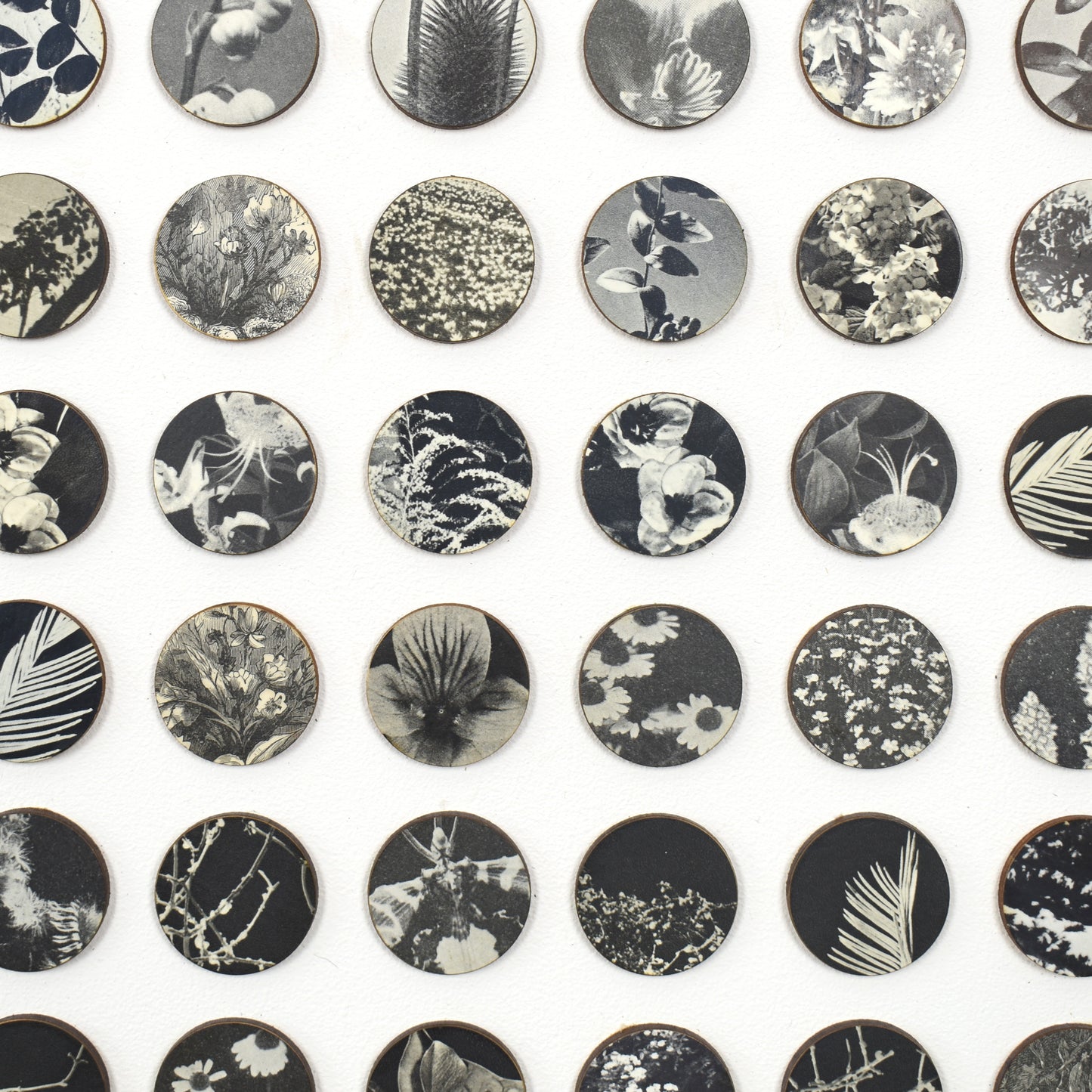 Three Hundred And Twenty Four Monochrome Botanical Dots Collage