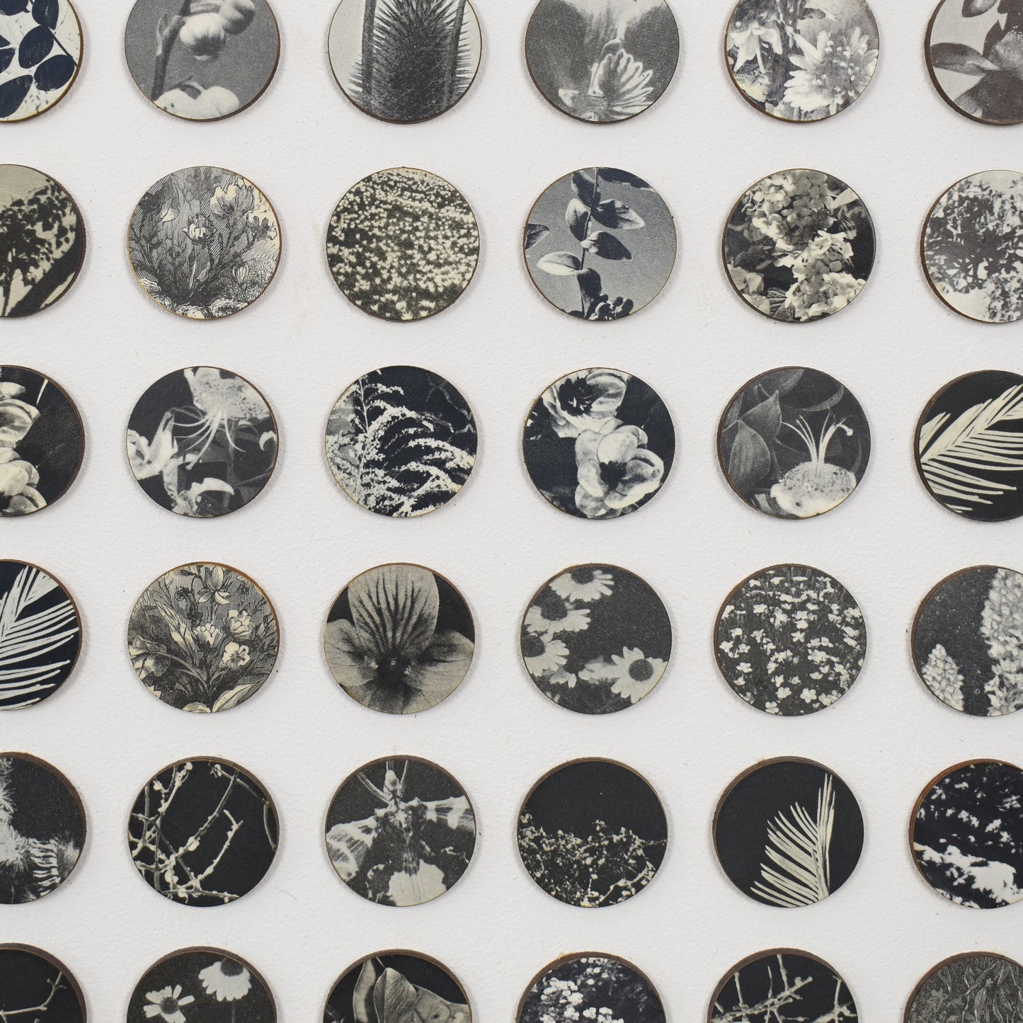 Three Hundred And Twenty Four Monochrome Botanical Dots Collage