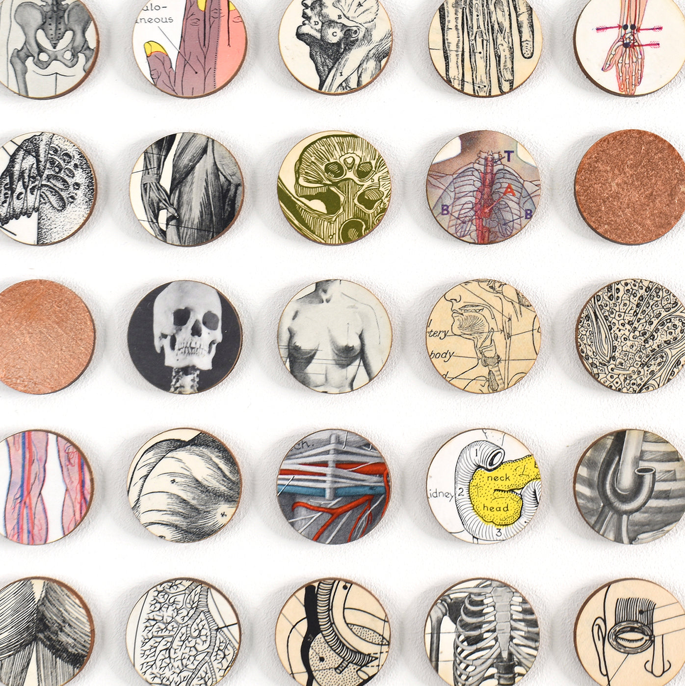 Everything Turns to Dust