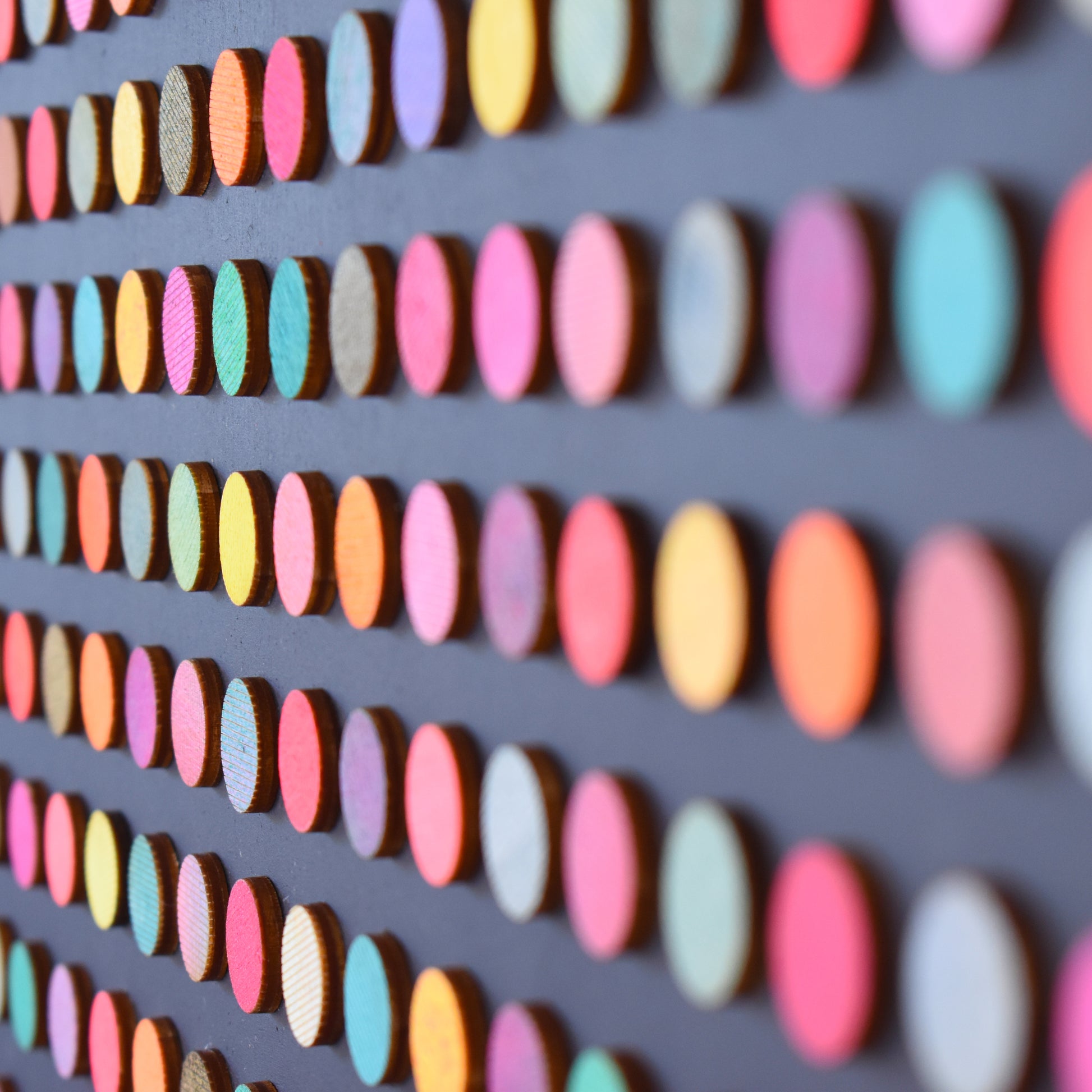 Painted Dot Collage on Black by Amelia Coward