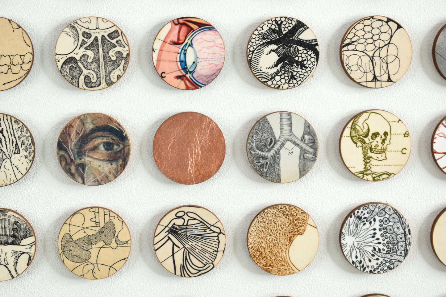 Everything Turns to Dust