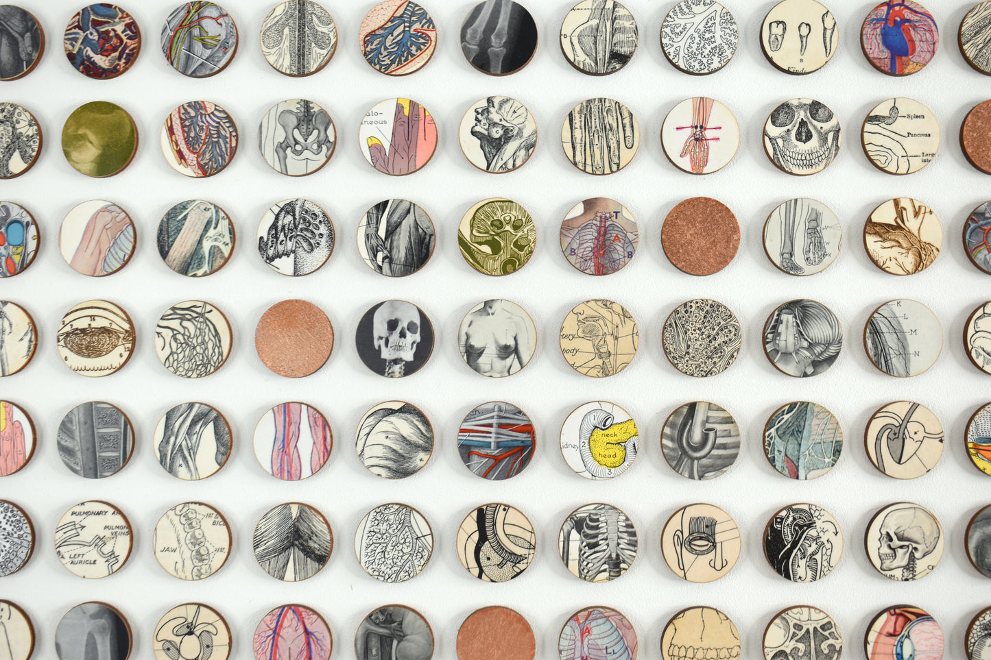 Everything Turns to Dust