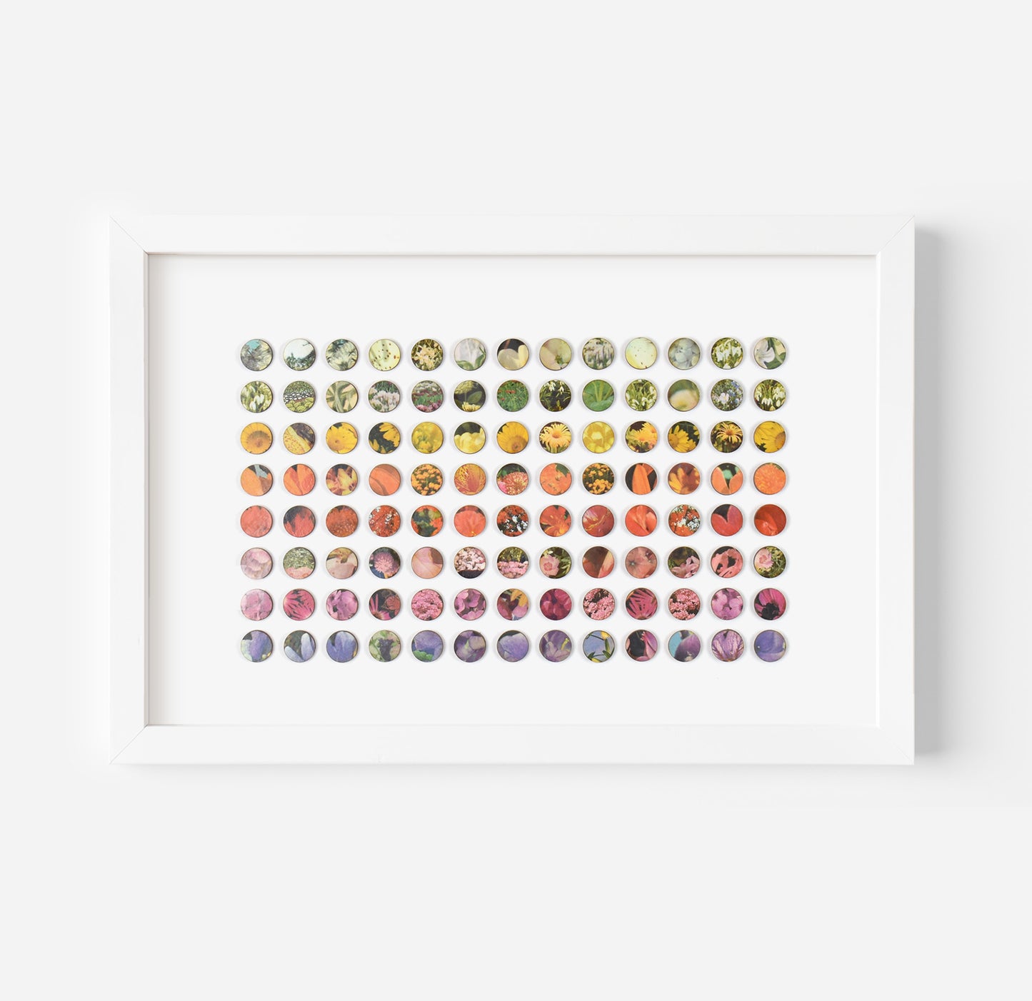 One Hundred and Four Rainbow Botanical Dots Collage