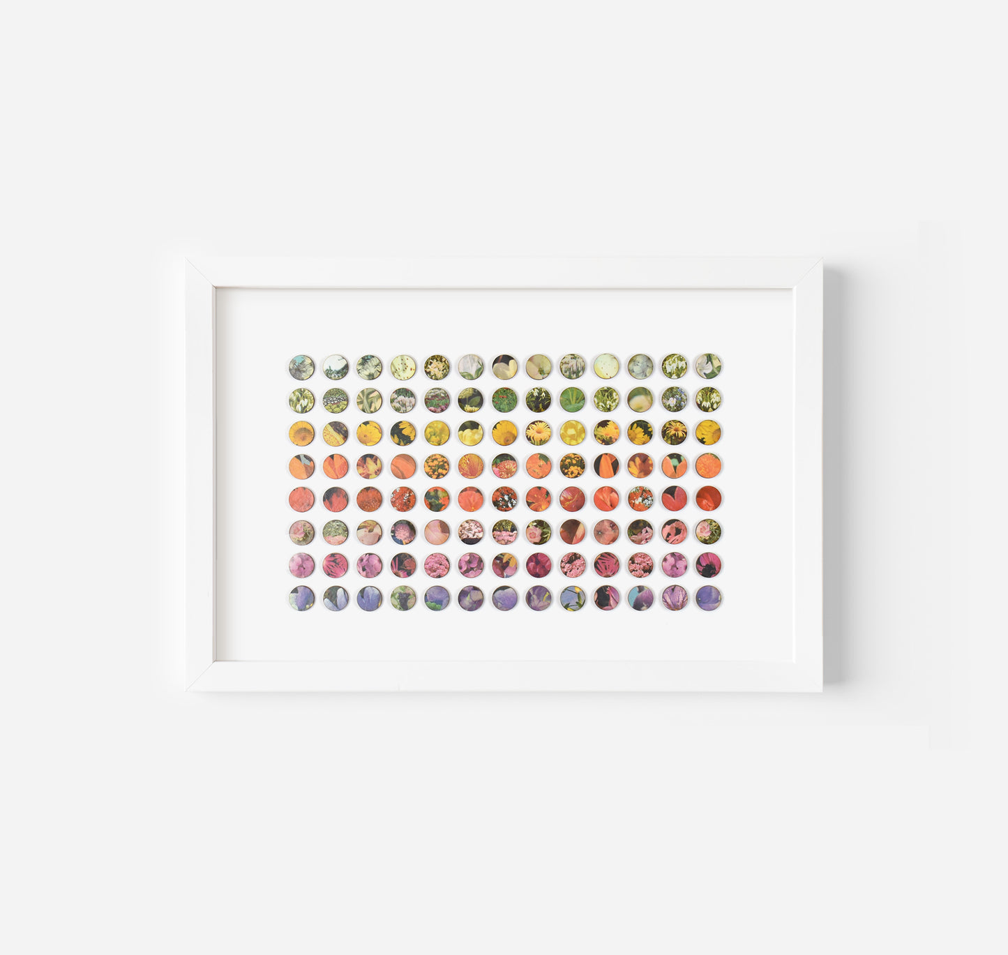 One Hundred and Four Rainbow Botanical Dots Collage